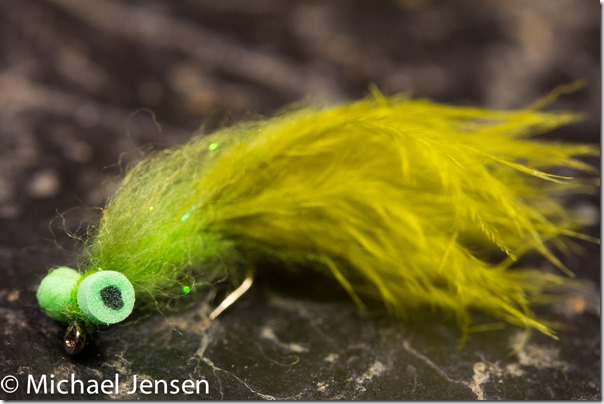 Damselfly Booby