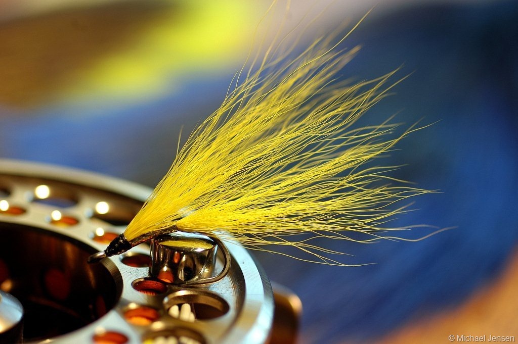 Joe Brooks Blonde Fly Patterns  Black and blonde, Blonde, Fly tying