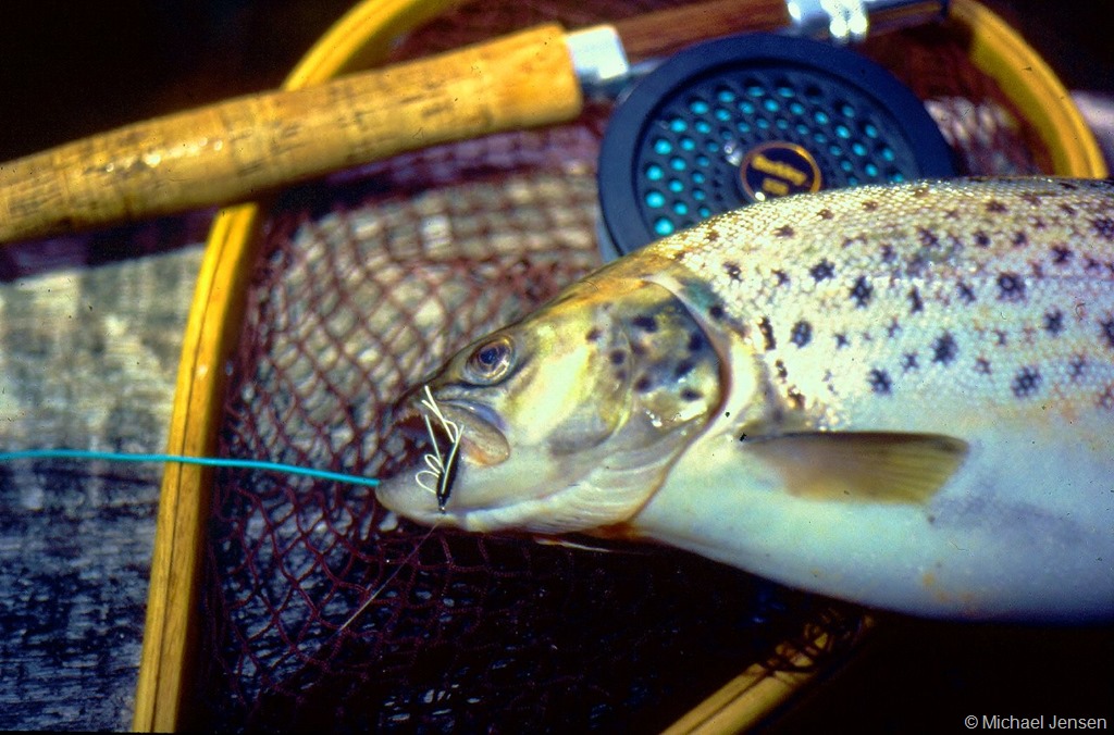 Rubber Legs & Worm Type - I Love Fly Fishing