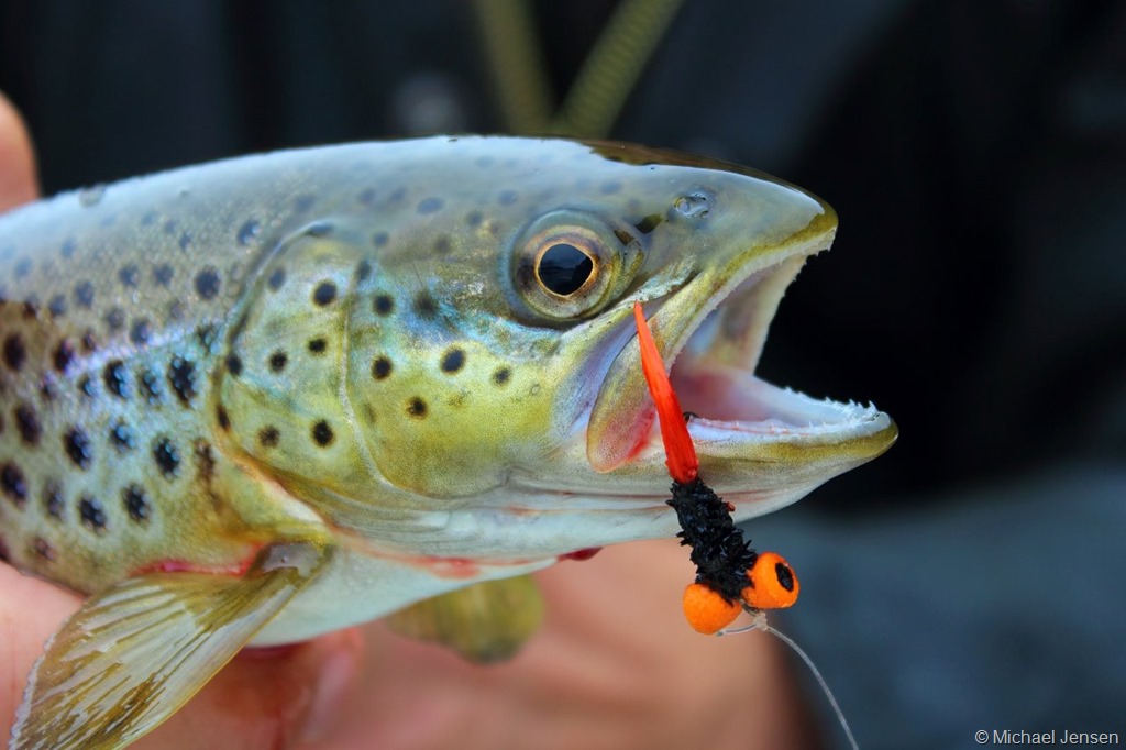 Sinking fly line and the Booby Fly - Michael Jensens Angling