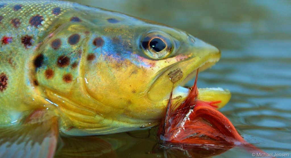 Put a rattle inside your Tube Bait - DIY angling tip 