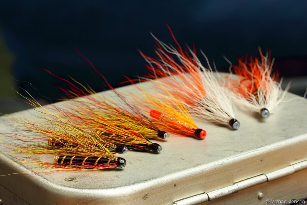 Skykomish Sunrise - classic steelhead fly tying - Michael Jensens