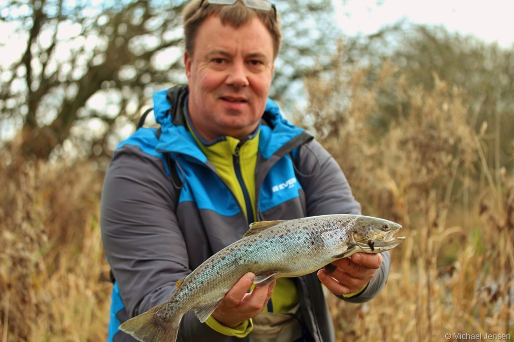 Small stream sea trout fishing - Michael Jensens Angling