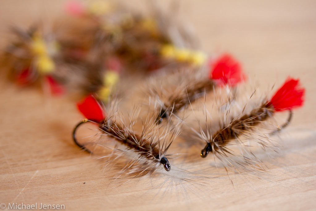 Hackle and the Woolly Worm Beginning Fly Tying, Part 12 - FAOL