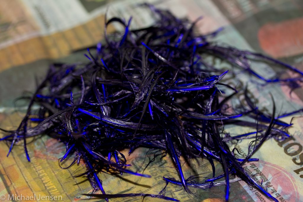 Dying feathers in the special pukeko blue