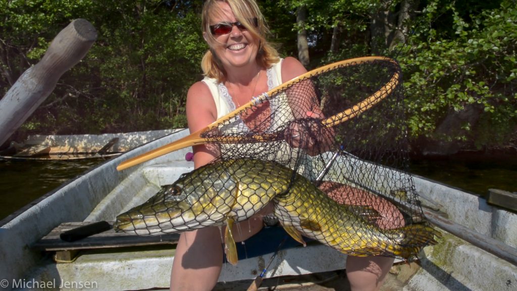Ulla with a huge pike
The game is on! 