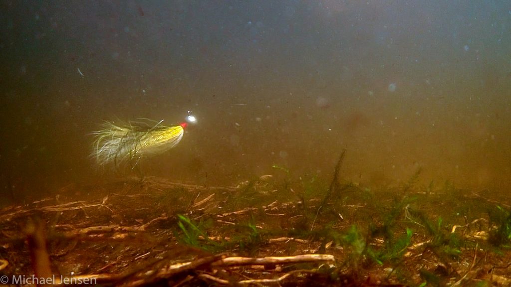 Bucktail jig under water