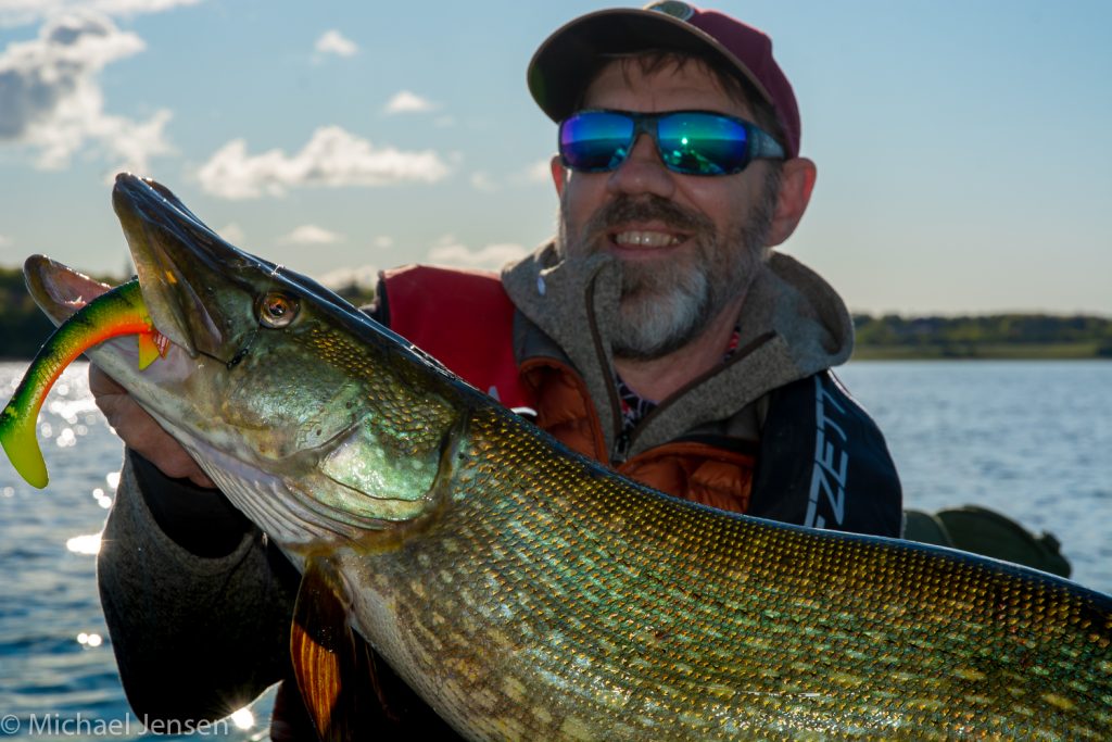 Pike, Musky & Bass - Fly Fishing Archives - Michael Jensens Angling