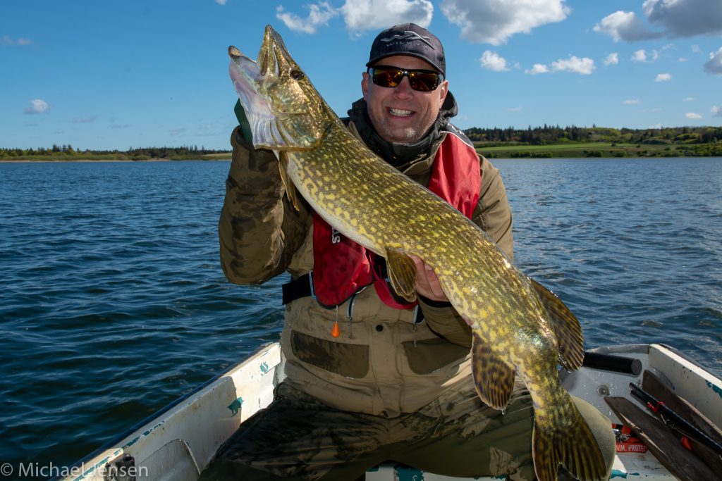 Rig a Texas Worm - basic angling tips 