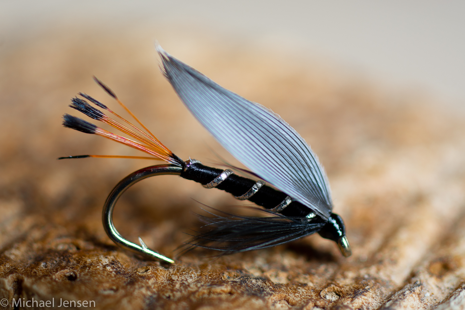 Wet Flies: Tying and Fishing Soft-Hackles, Winged and Wingless Wets, and  Fuzzy Nymphs