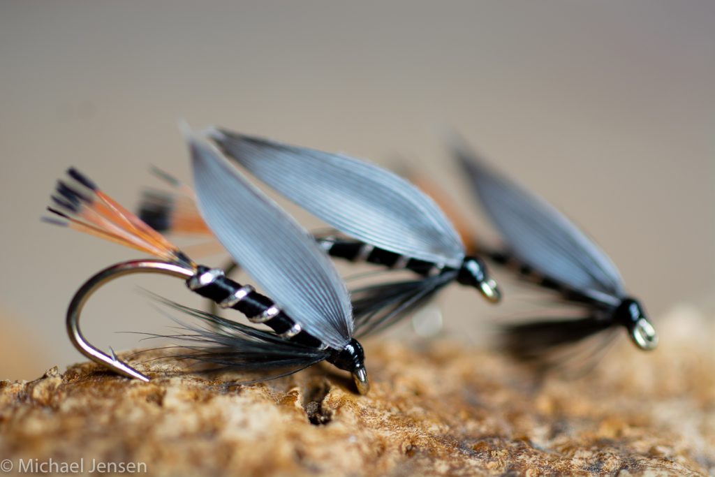 Blae & Black Fly - Fishing Flies with Fish4Flies Europe