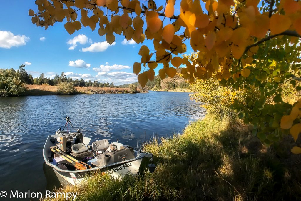 Scenery from the Williamson River