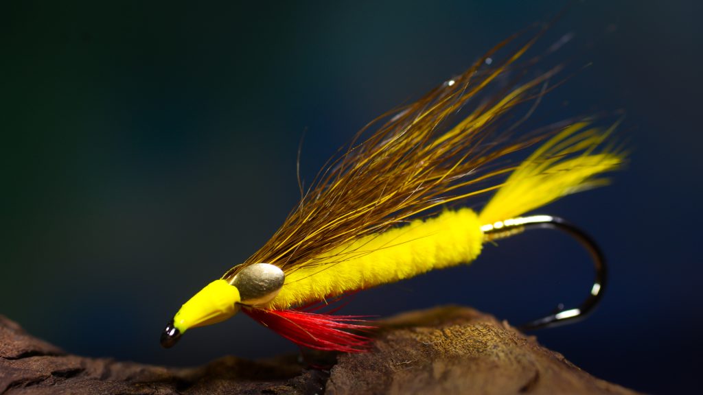 Bill Edson's Dark Tiger (Fly tying turorial) - tied by Michael Jensen